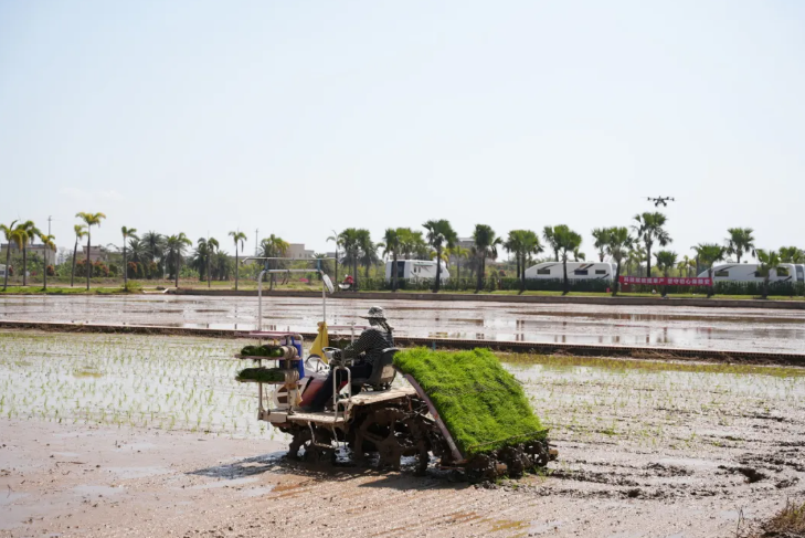 6391005671244529455618052